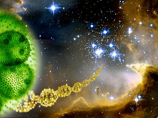 What If Alien Life Doesn’t Look Like&nbsp;Life?